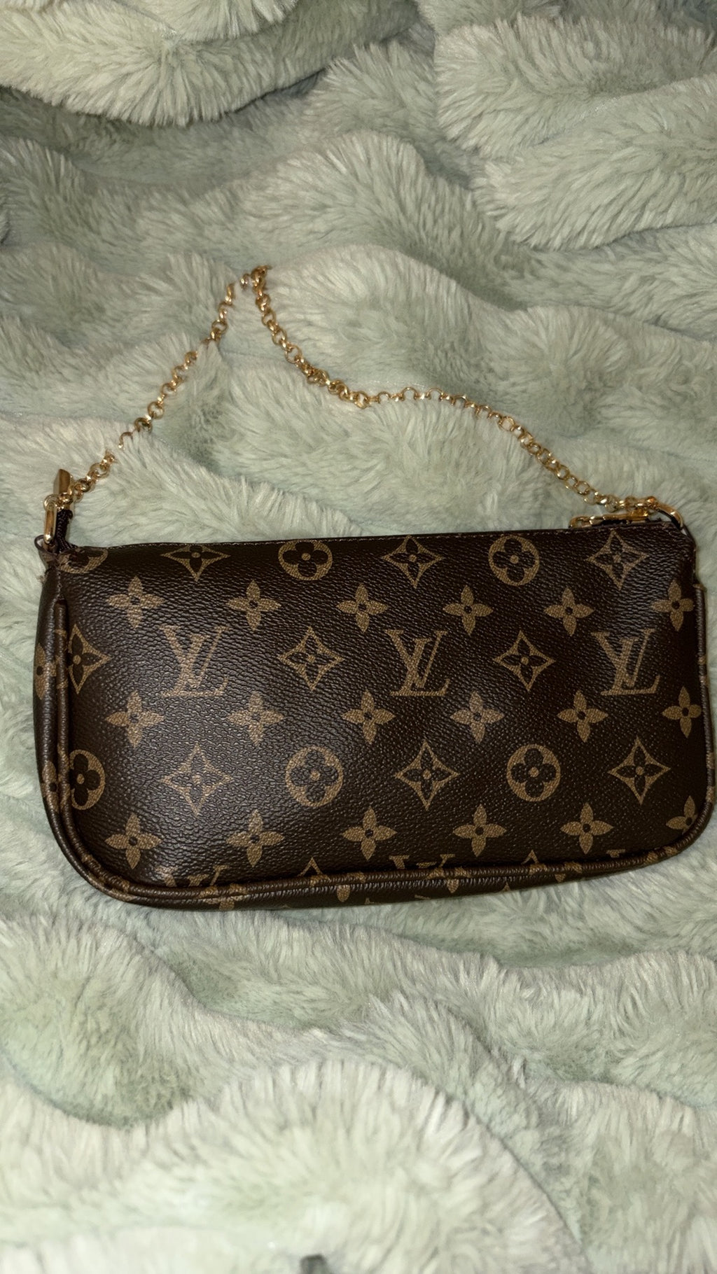 LV monogram pochette back view