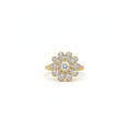 Flower daisy ring on white background
